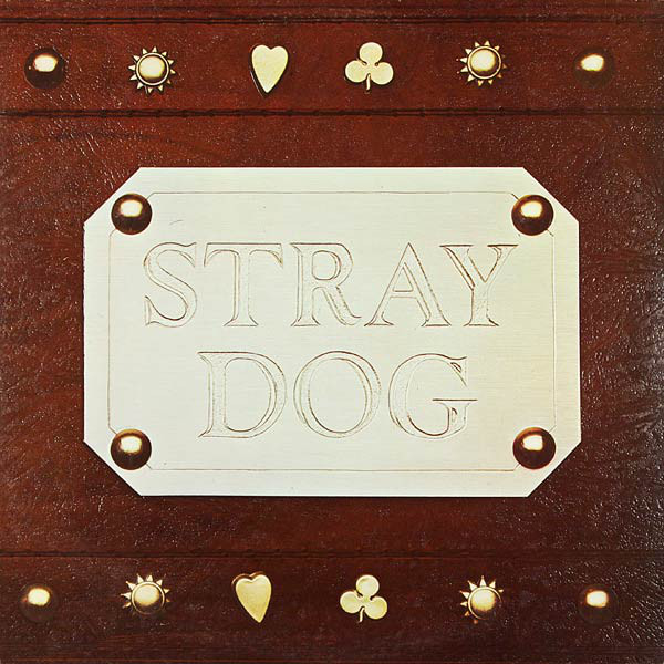 stray-dog